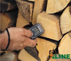 Nước và độ ẩm trong gỗ
