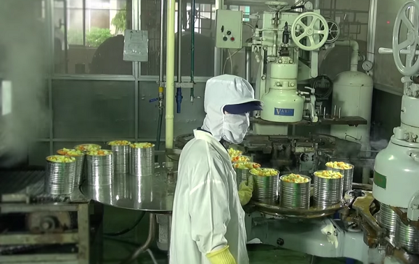 Thực phẩm đóng hộp_Bài 2 Chần, hấp, đun nóng nguyên liệu