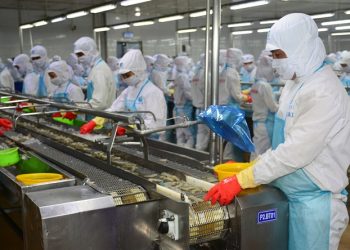 QUÁ TRÌNH CHẾ BIẾN SƠ BỘ NGUYÊN LIỆU BẰNG CƠ HỌC